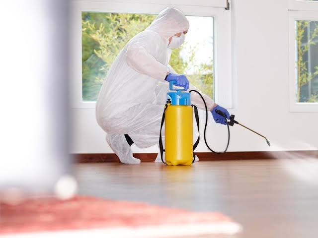 دليل المواد الفعالة للقضاء على النمل الأبيض في المنزل وطرق تطبيقها | 0530701891