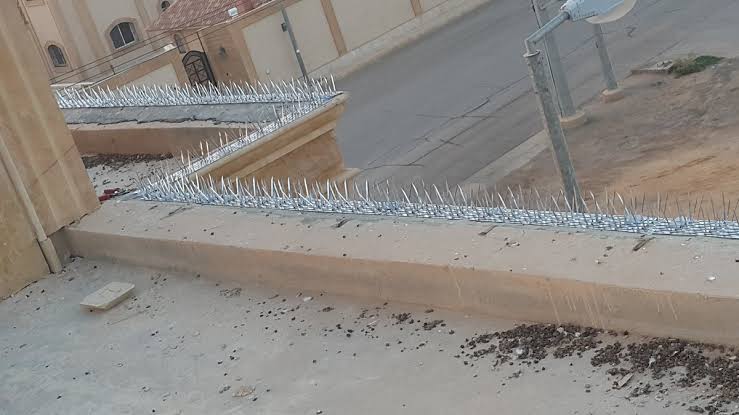 أفضل طريقة تركيب شوك طارد للحمام على أسطح المنازل بدون ضرر | 0530701891